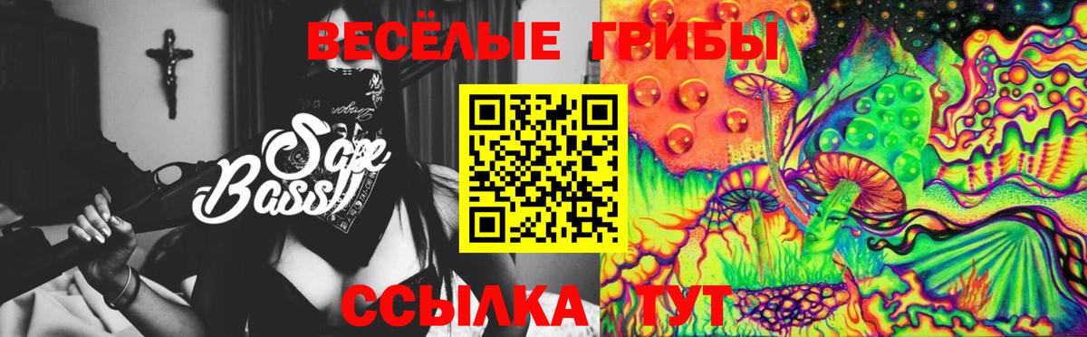 Галлюциногенные грибы GOLDEN TEACHER  Вход с VPN  Галлюциногенные грибы Magic Shrooms  Алапаевск 